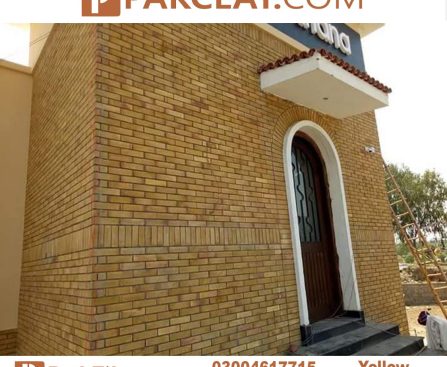 Facing Bricks Price in Lahore