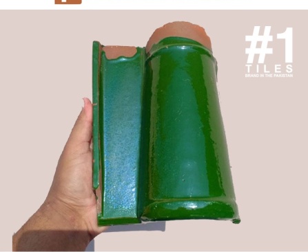 House Khaprail Design in Pakistan