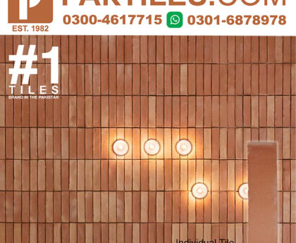 1 Natural Red Bricks Wall Gutka Tiles In Nawabshah